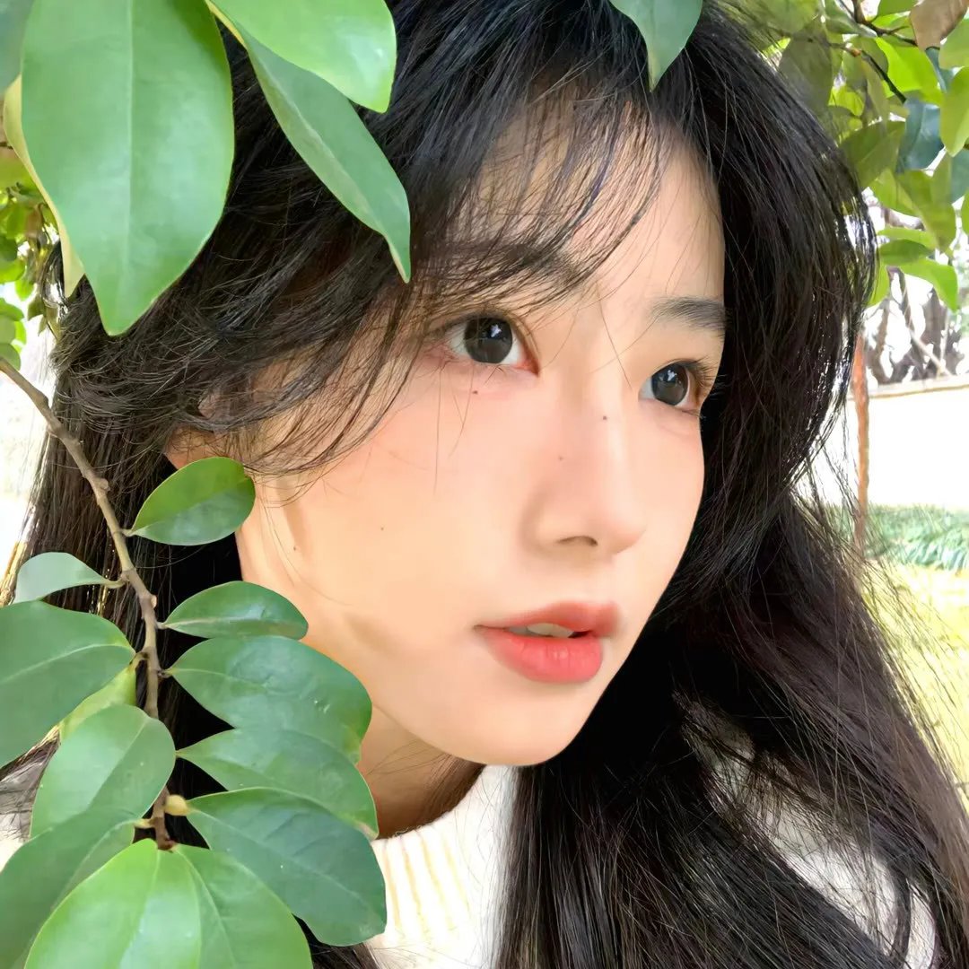 火线赤子情